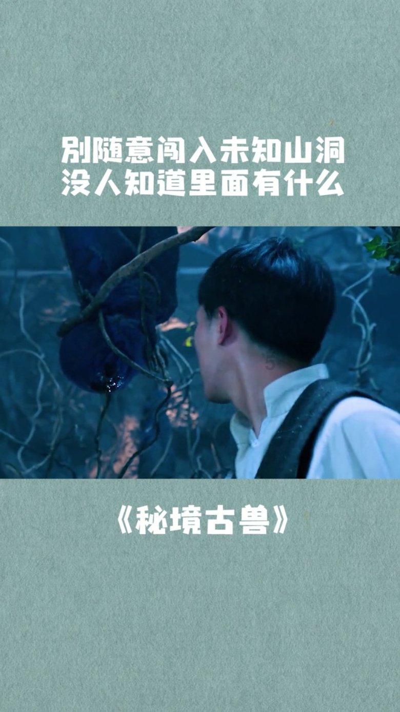坦克动荡加强版