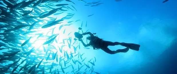 流星蝴蝶剑